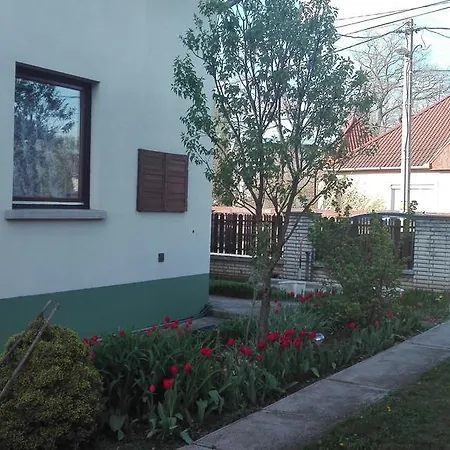 Plajbi * Hajduszoboszlo